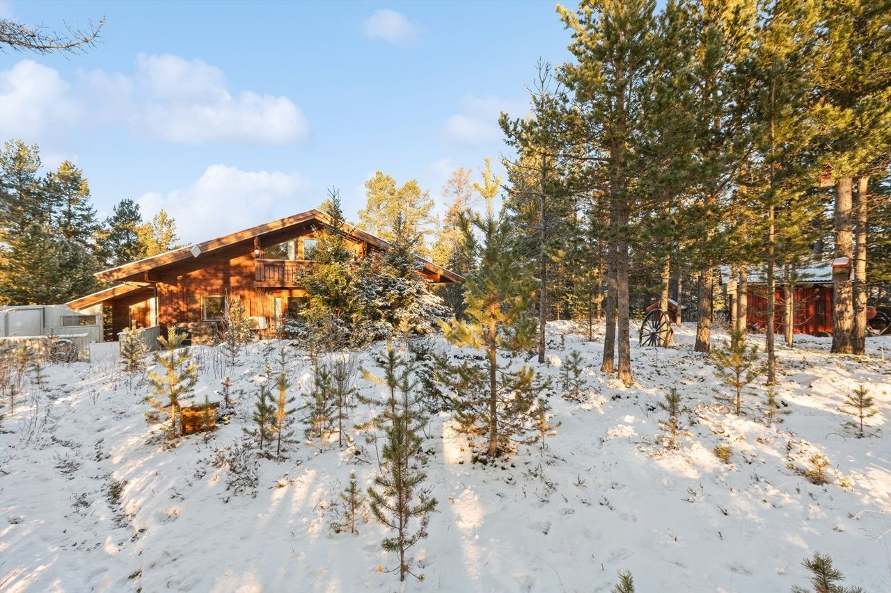 Ligger usjenert til på en romslig naturtomt. Galleribilde