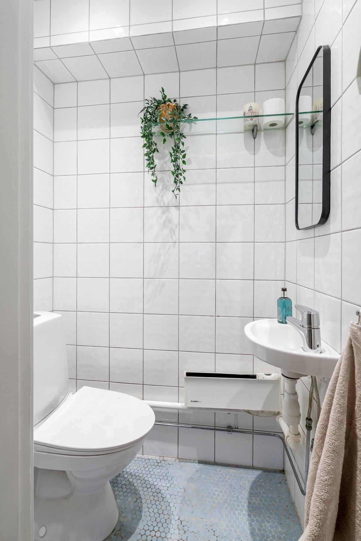 Funksjonelt og separat toalett. Galleribilde