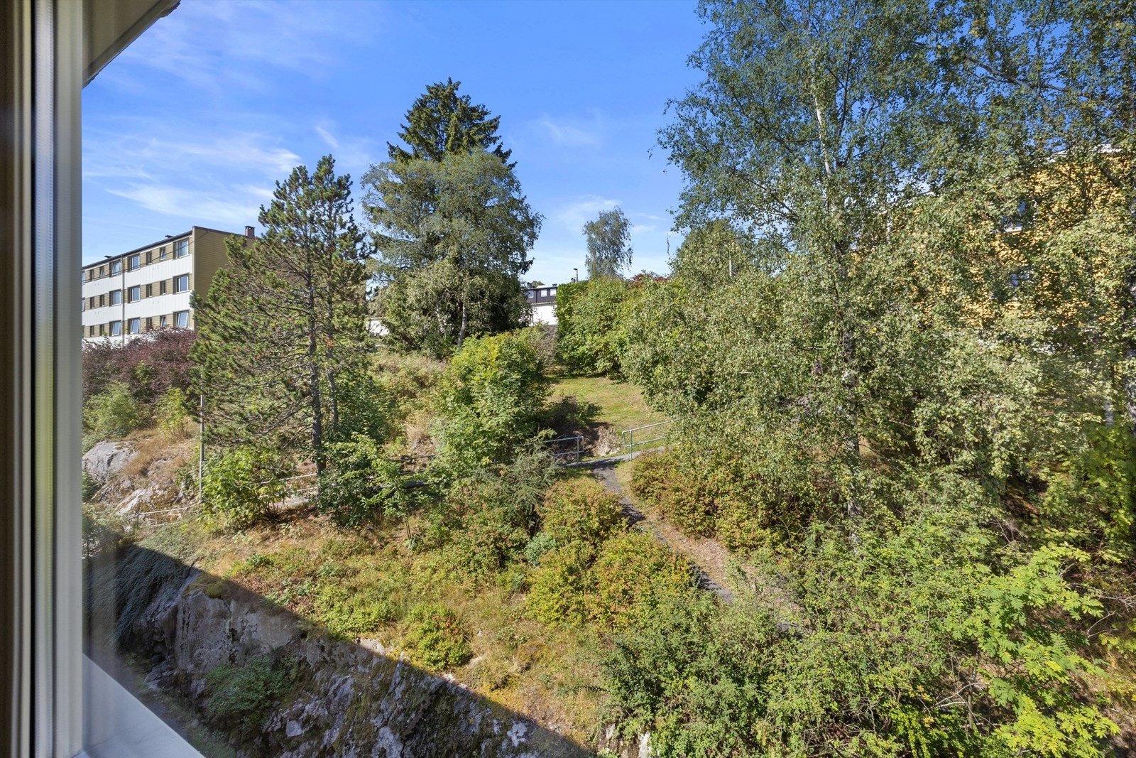 Frodig utsyn fra spisebordet. Galleribilde