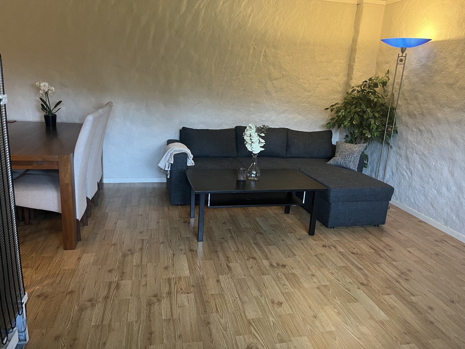 Utleiedel - fotografert av kunde. Galleribilde