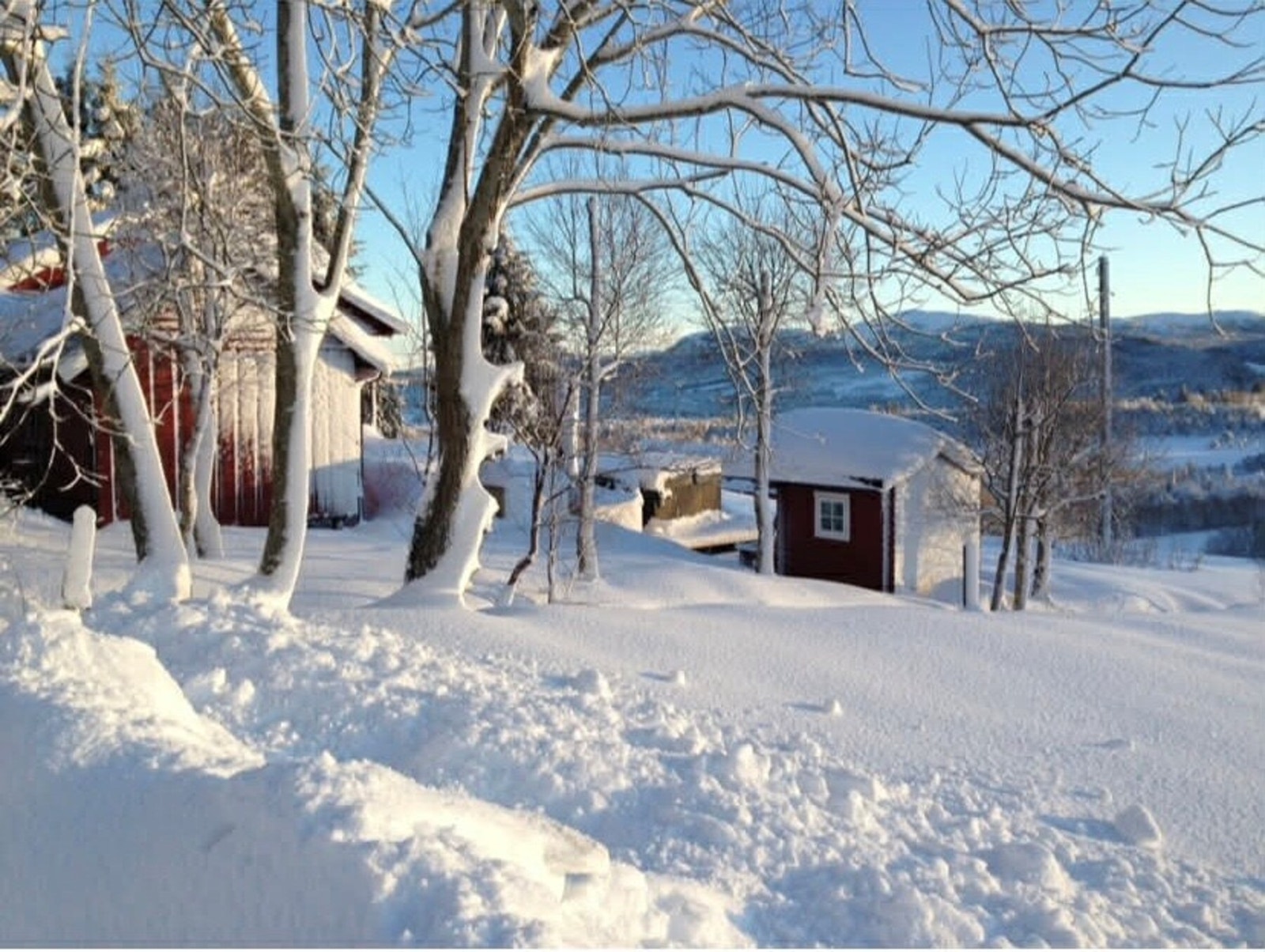 Vinterstemning - foto privat Galleribilde