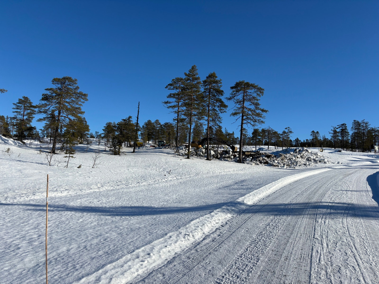 Tomt 15 sett nedenfra Galleribilde