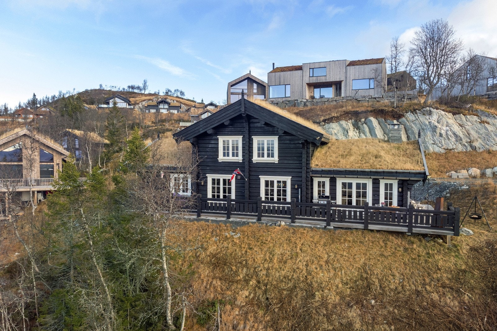 Fritt foran hytta Galleribilde