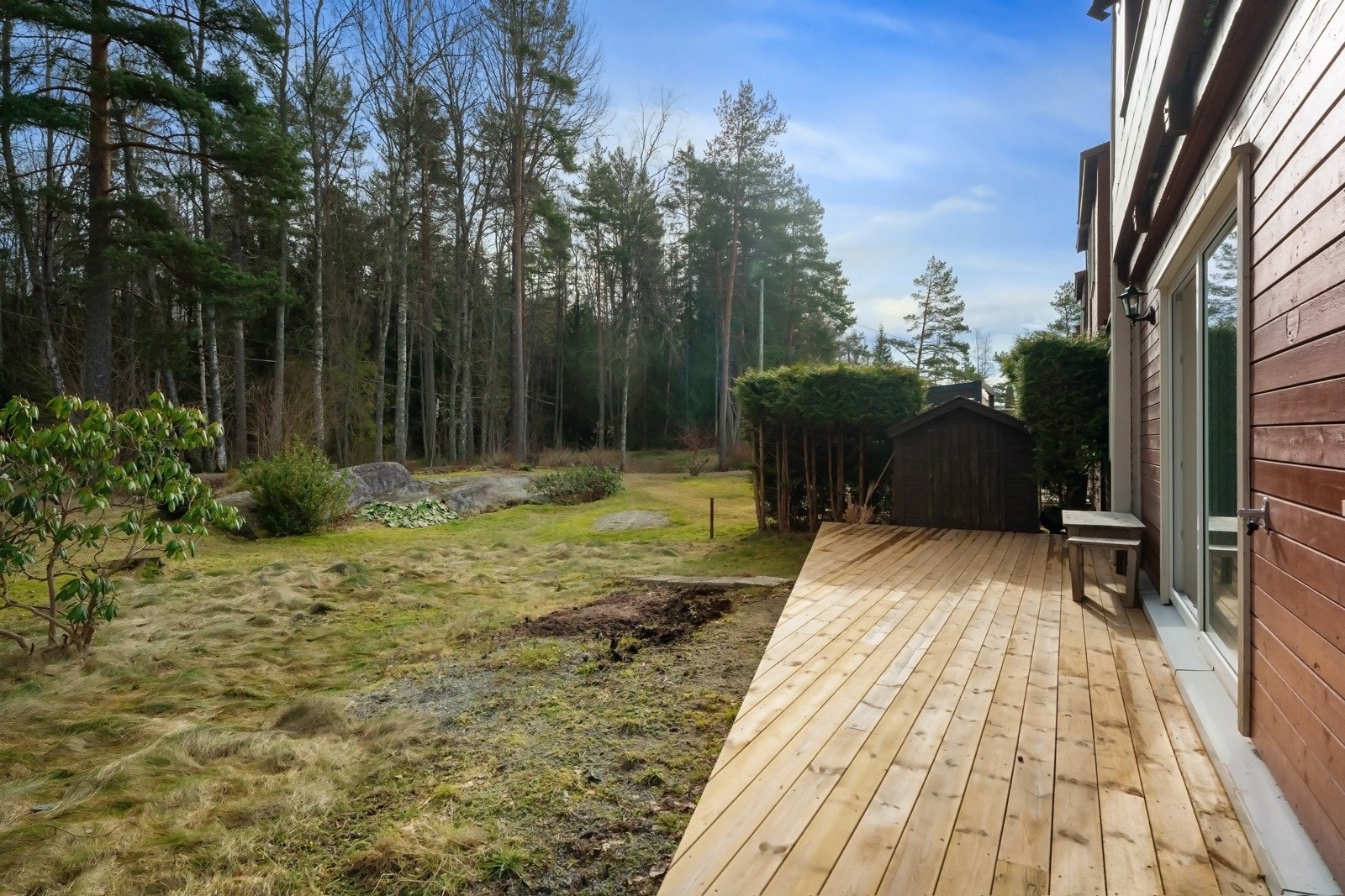 Ekorn, hakkespett og ett og annet rådyr blir deres nye naboer i skogen bak. Galleribilde