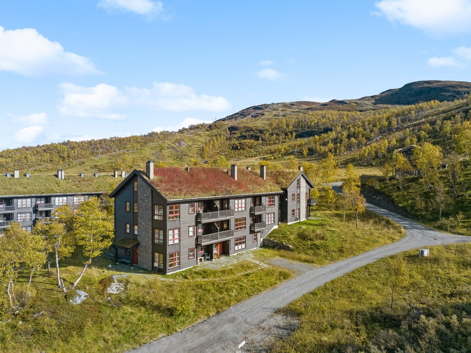 Høststemning Galleribilde