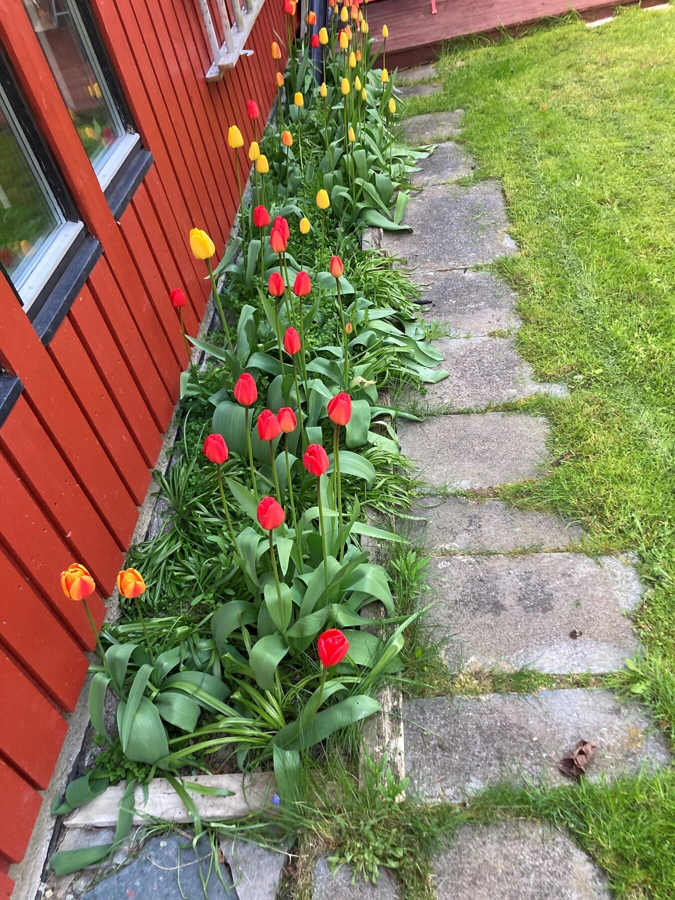 Selgers foto. Galleribilde