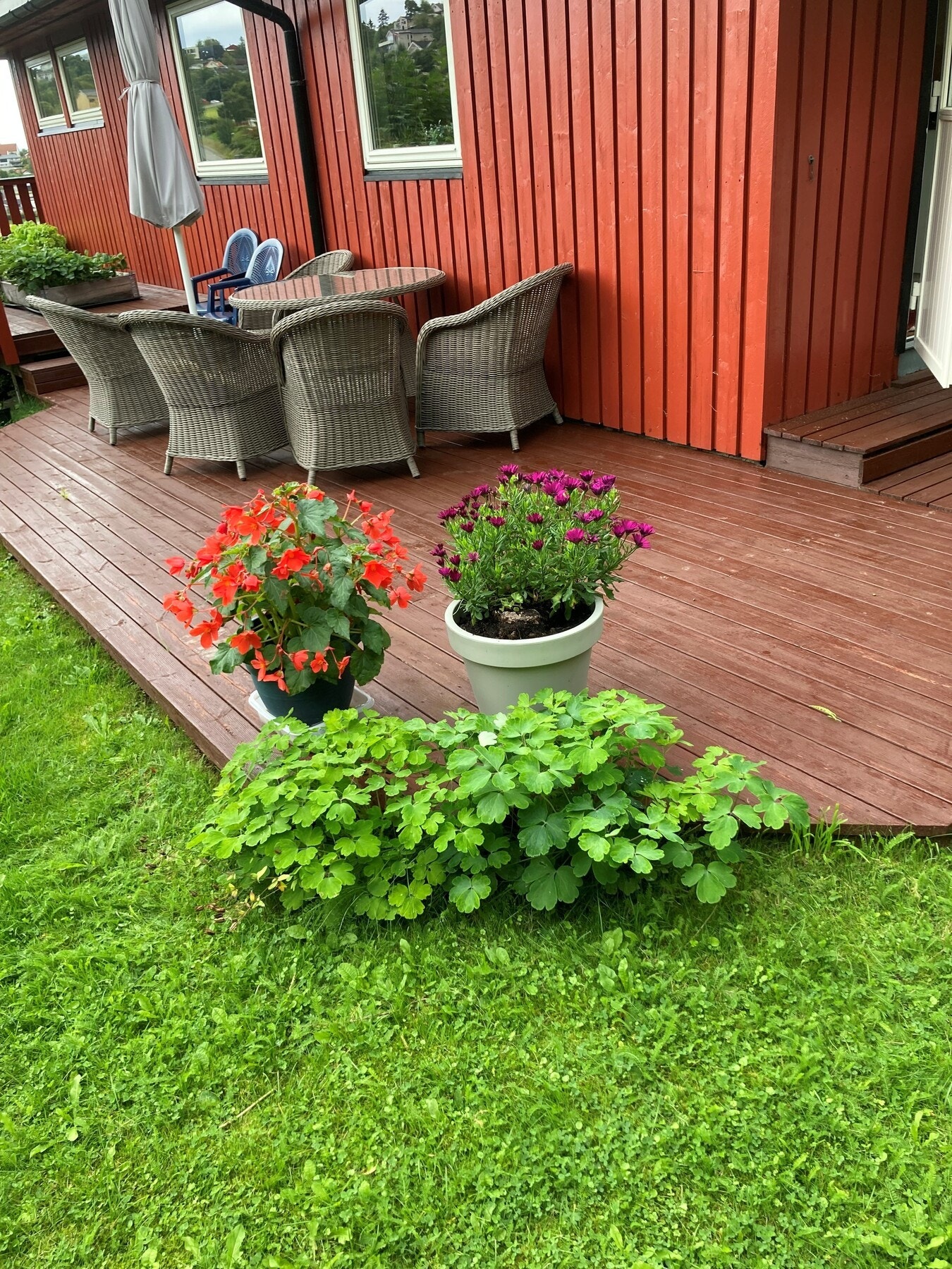 Selgers foto. Galleribilde