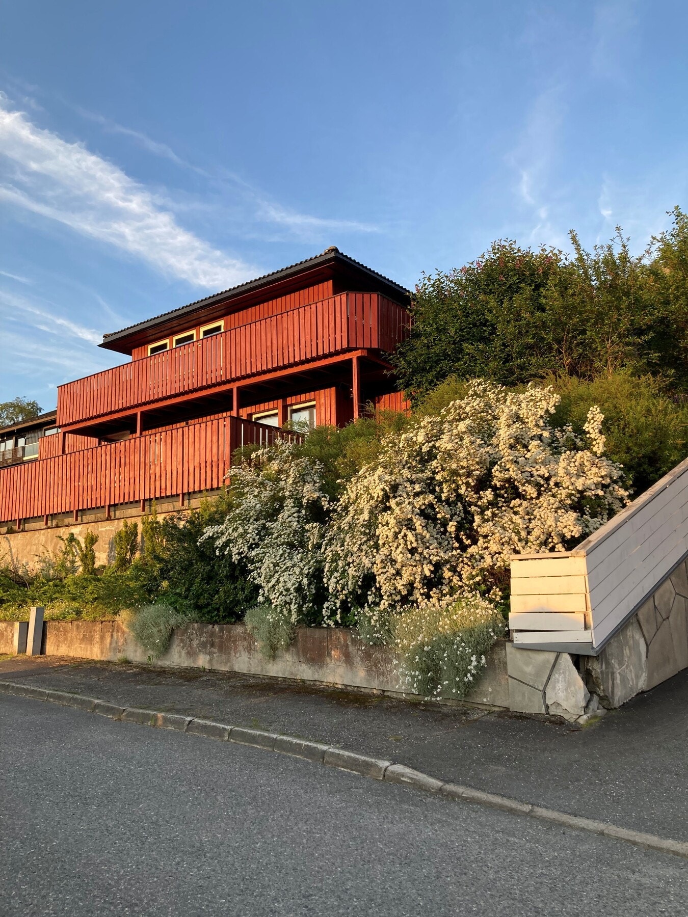 Selgers foto. Galleribilde