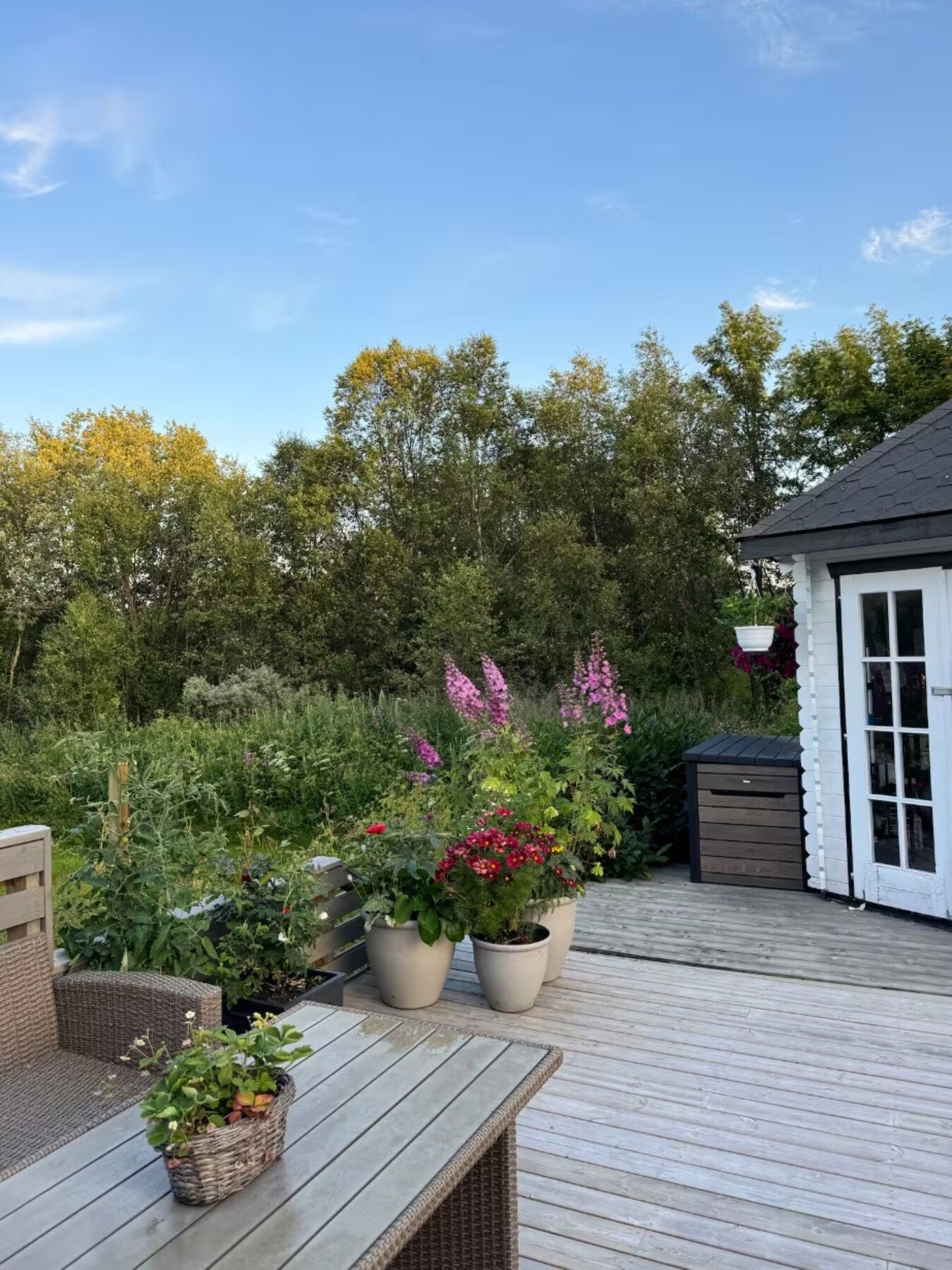 Selgers bilde Galleribilde