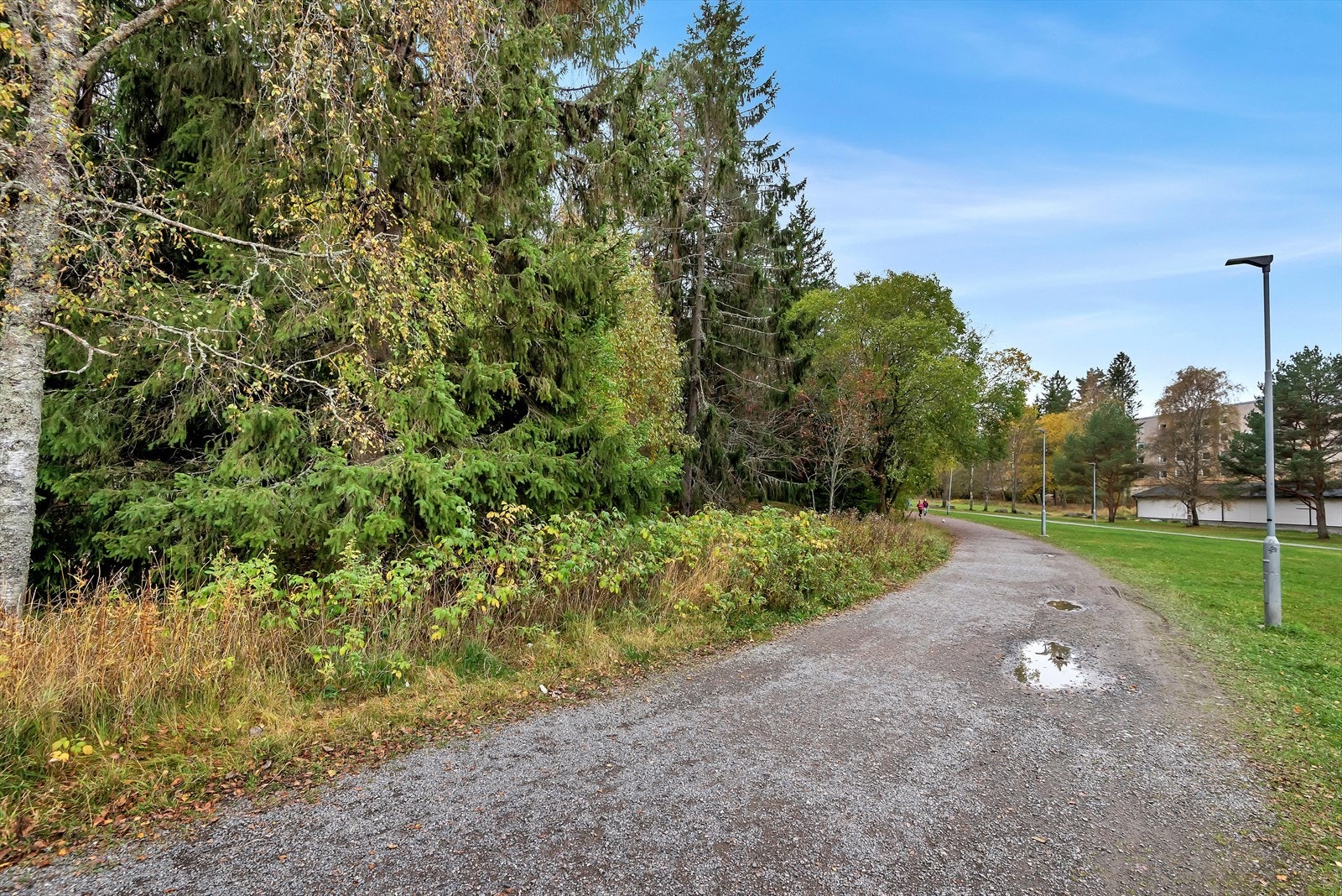 Områdebilde. Galleribilde