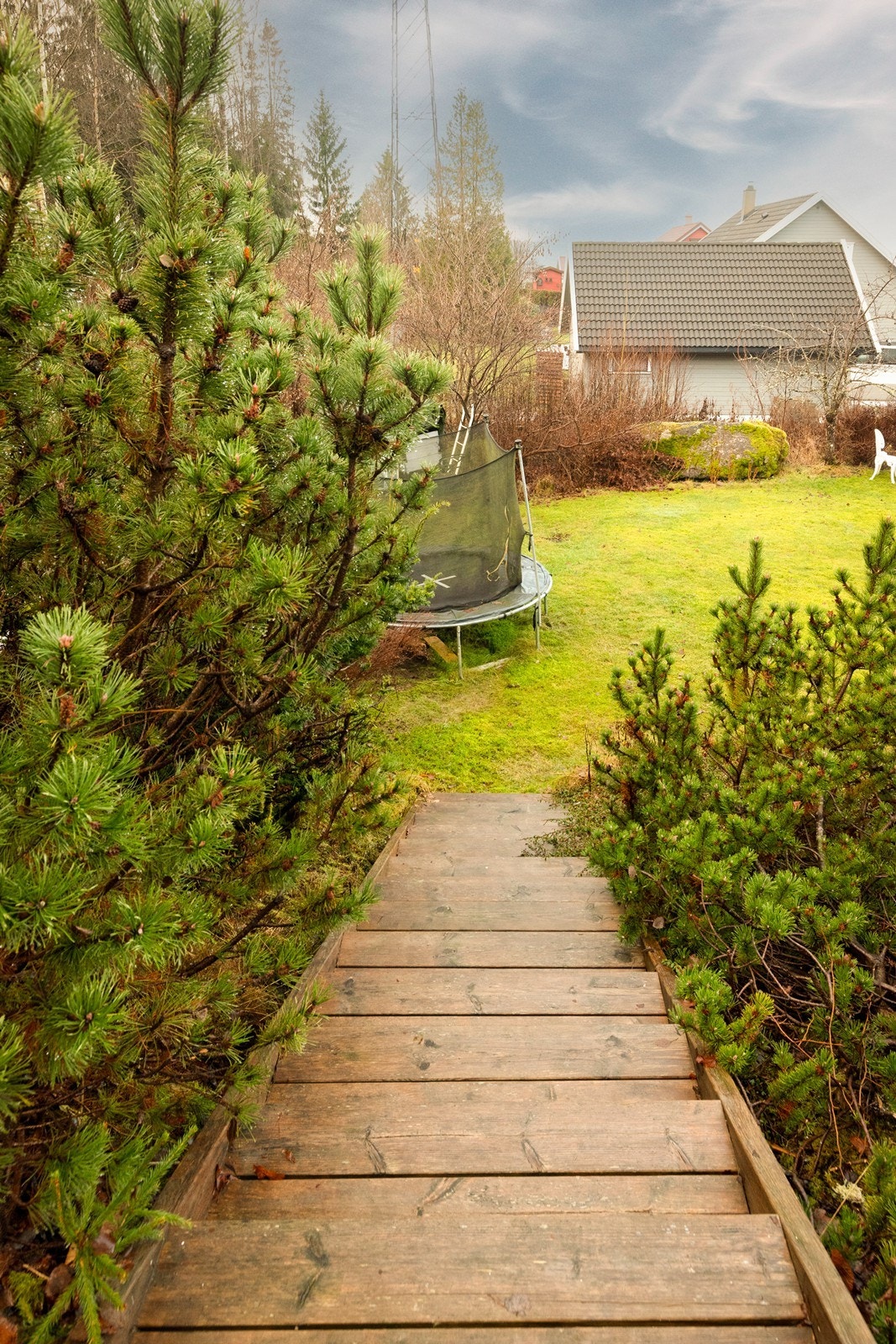 Trapper fra hagen leder opp til terrassen. Galleribilde