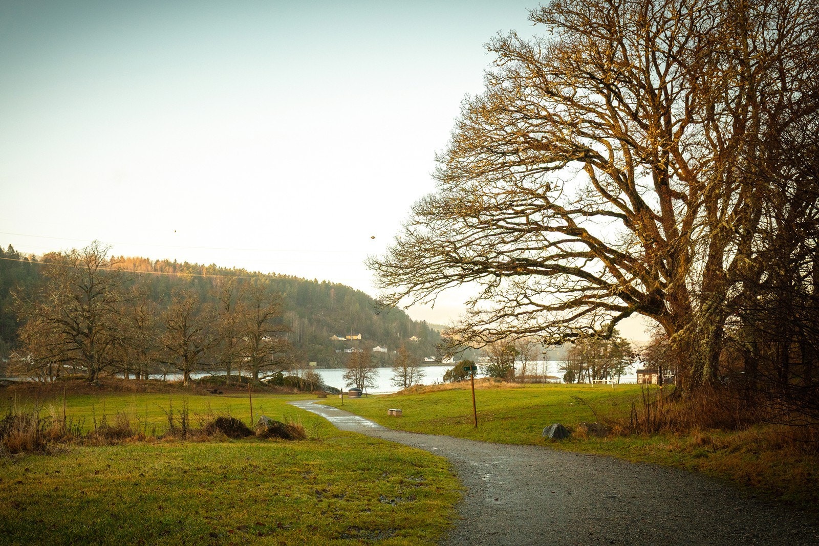 Det er kort vei til Bunnefjorden med flotte badeplasser som Kjærnesstranda. Galleribilde