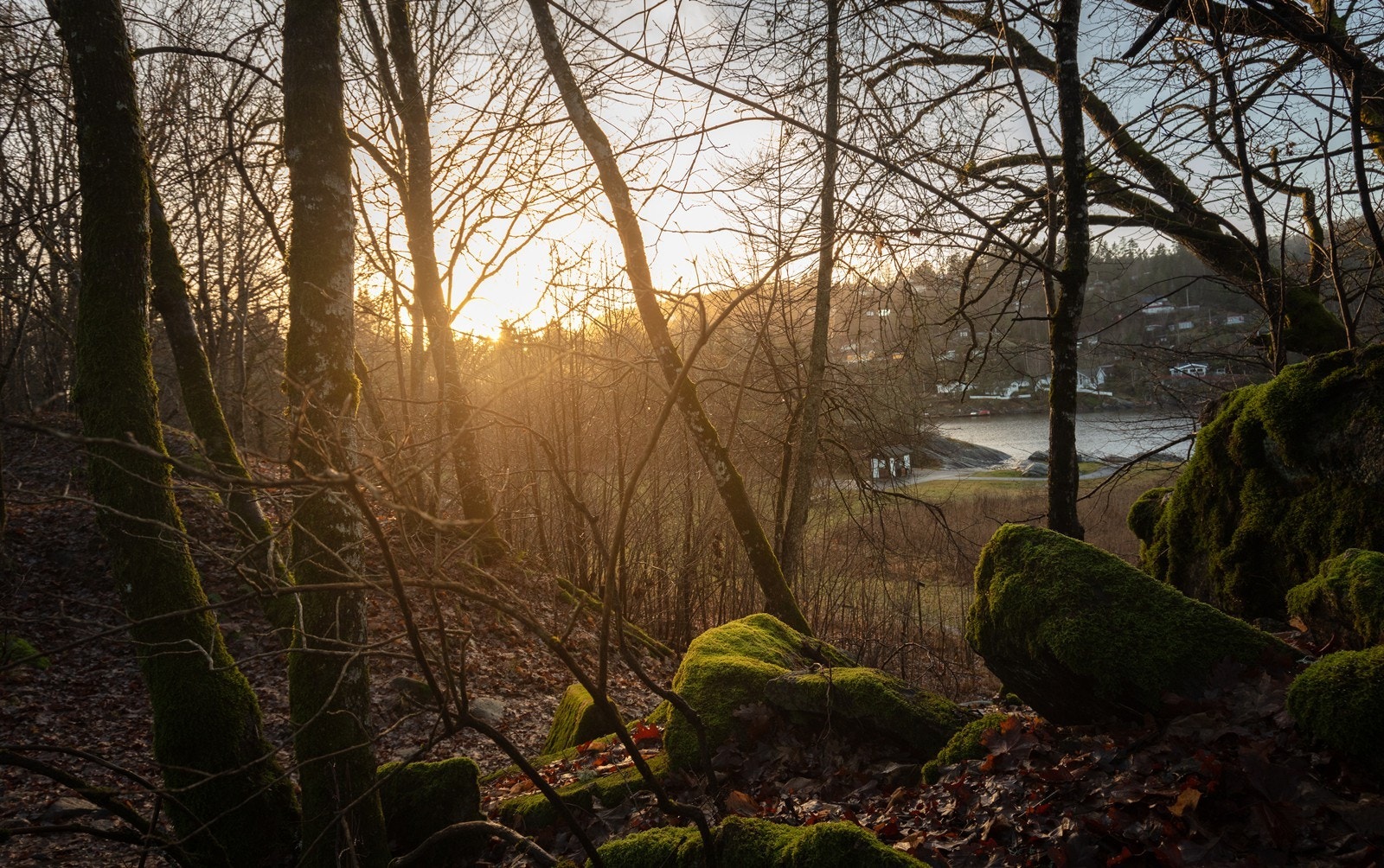 Rett utenfor døren har du umiddelbar tilgang til skog og mark. Galleribilde