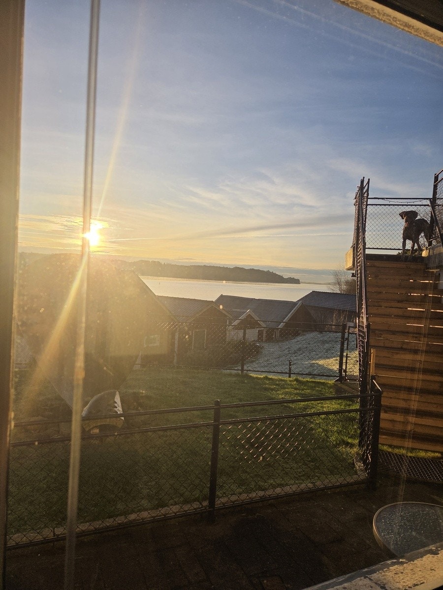 Utsikt stue Galleribilde