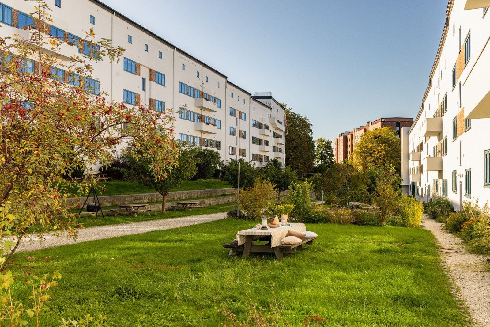 _P6A4201 Galleribilde