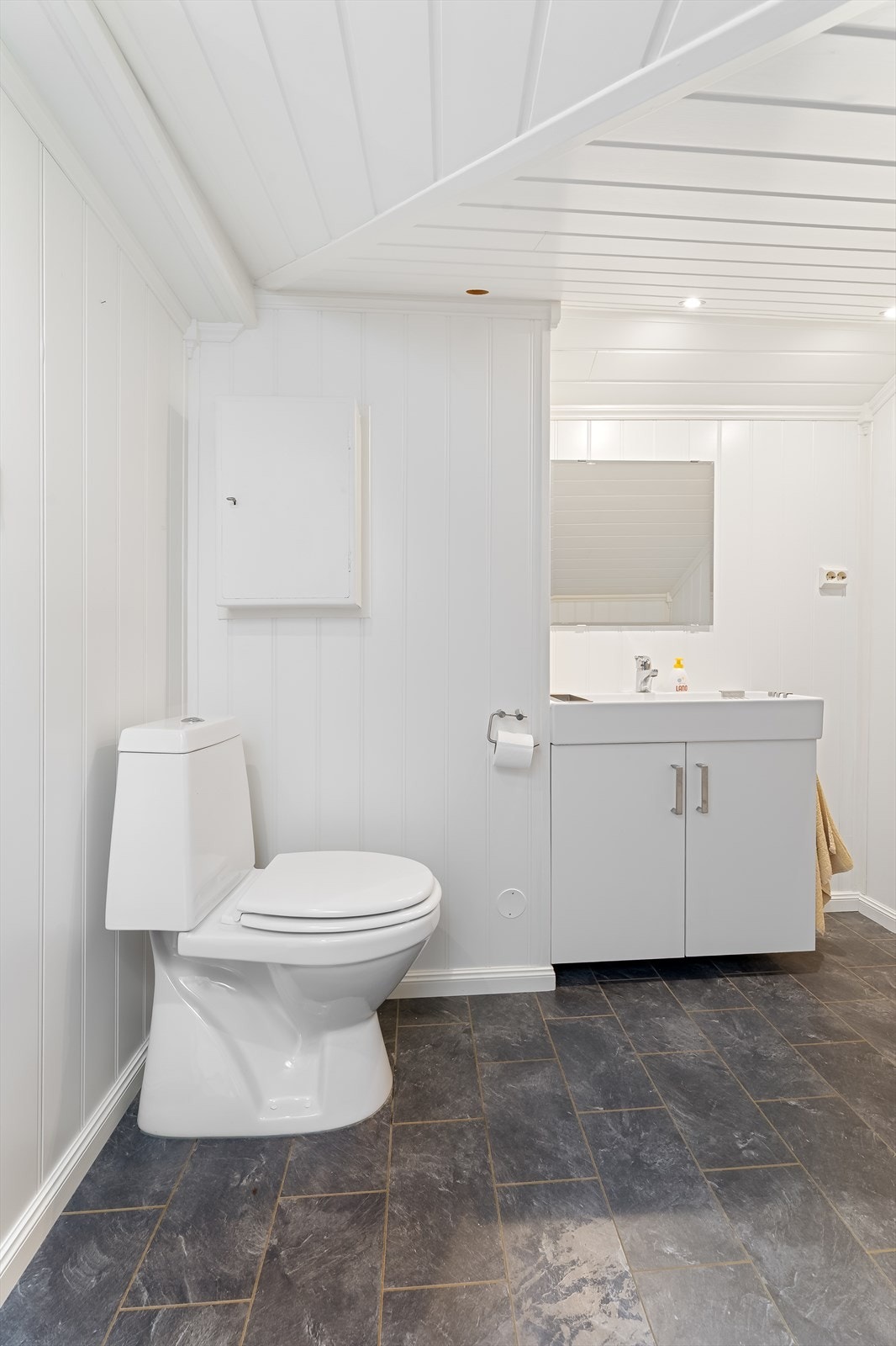 Toalettrom i loftsetasje Galleribilde