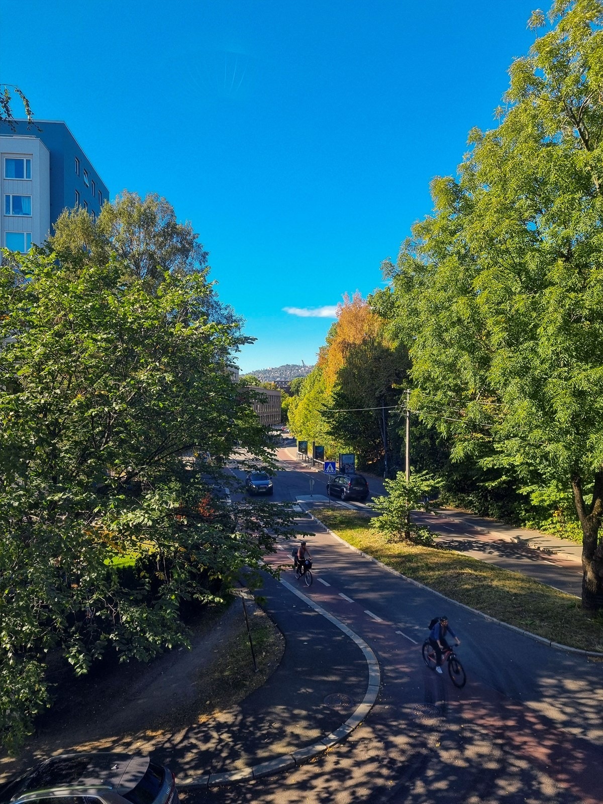 Utsikt på sommerstid. Galleribilde