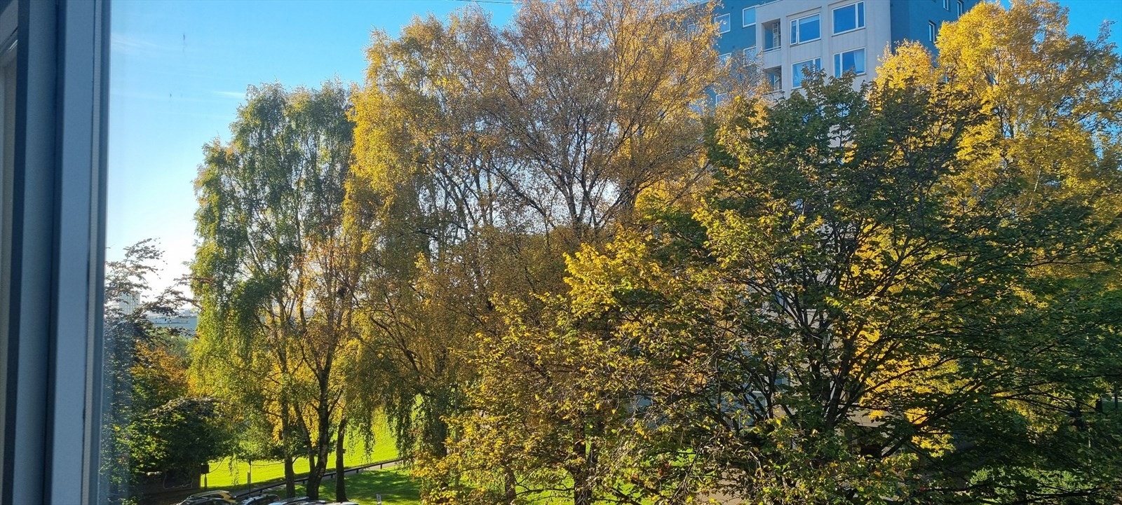 Nydelig utsikt fra vinduet tidlig på høsten. Galleribilde