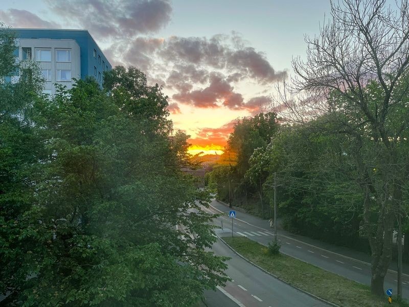 Sonledgang fra kjøkkenvinduet. Galleribilde