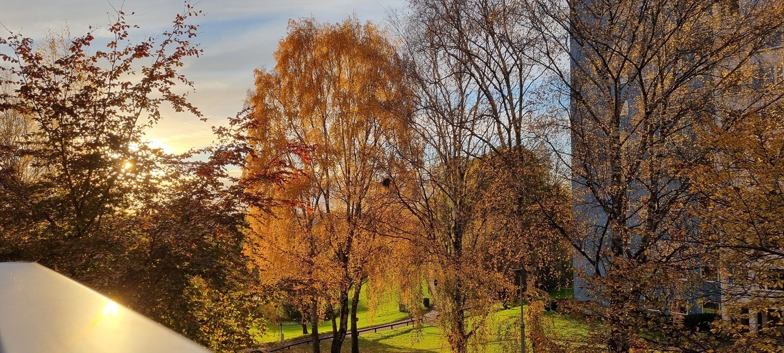 Høstutsikt fra balkongen. Galleribilde