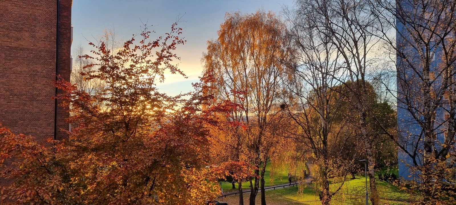 Nydelig utsikt fra balkongen om høsten. Galleribilde