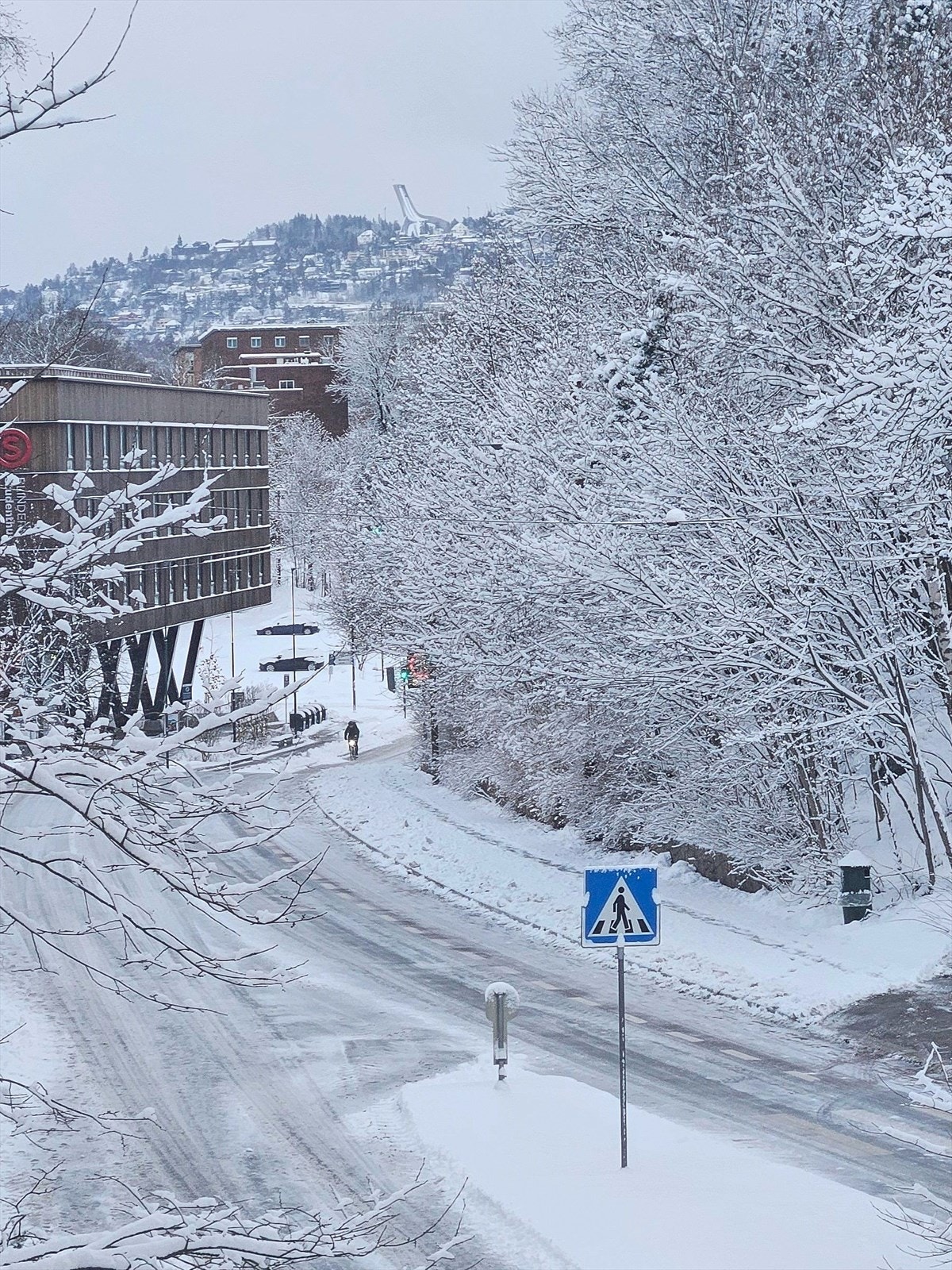 Utsikt til Holmenkollen på vinteren. Galleribilde