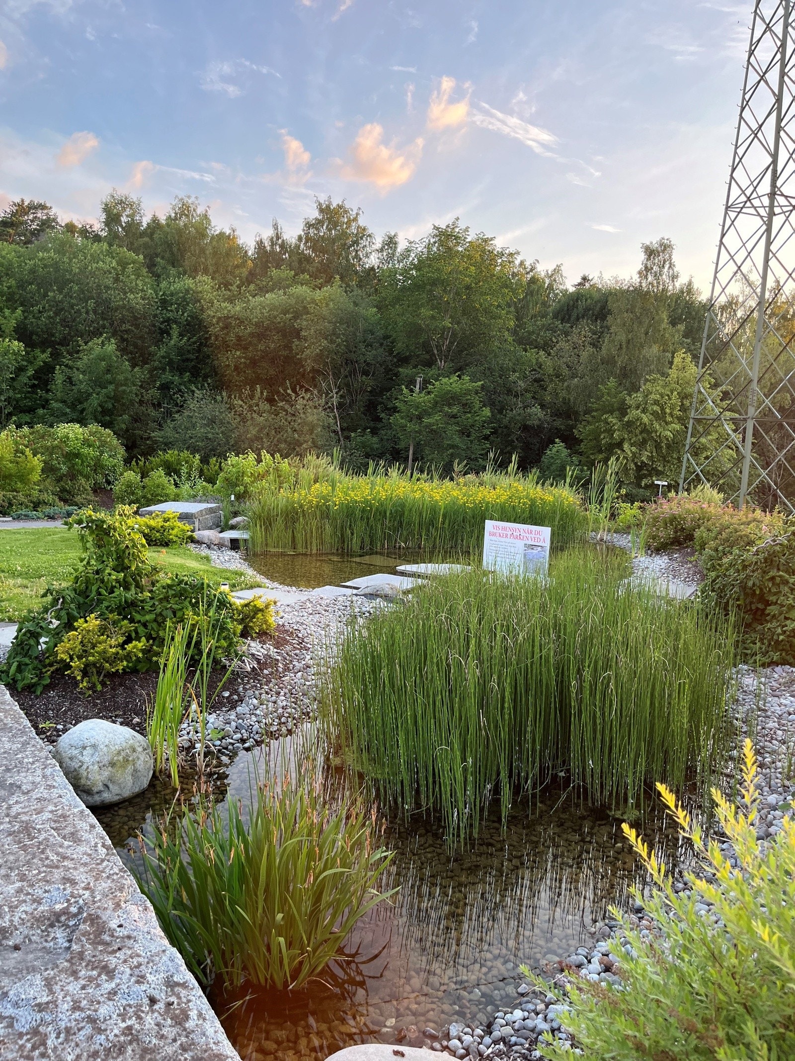 Flott bakgård med rennende vann, griller, store gressplener (selgers private bilde). Galleribilde