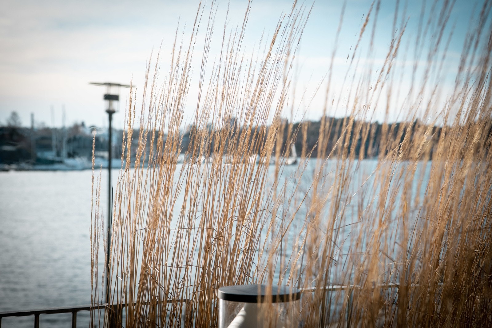 Lev lett ved fjorden Galleribilde