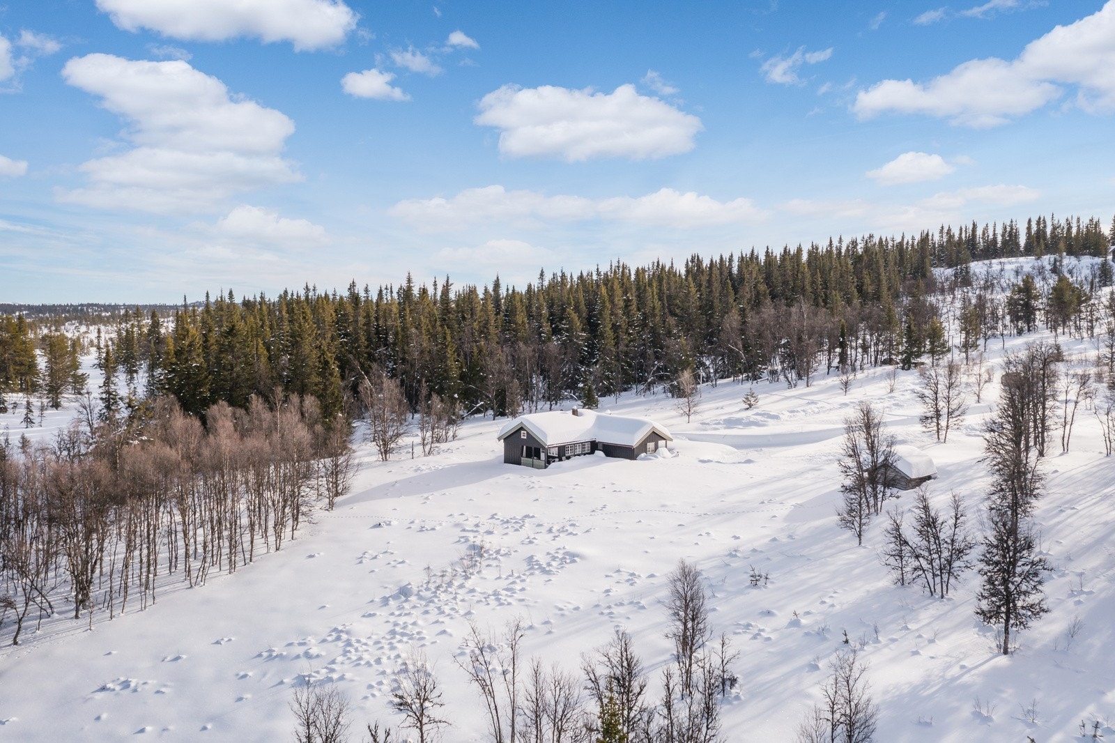 Lokal Eiendomsmegler MNEF/Økonom/Partner Ådne Holestøl Hognerud har gleden av å vise frem Nystølvegen 42! Galleribilde
