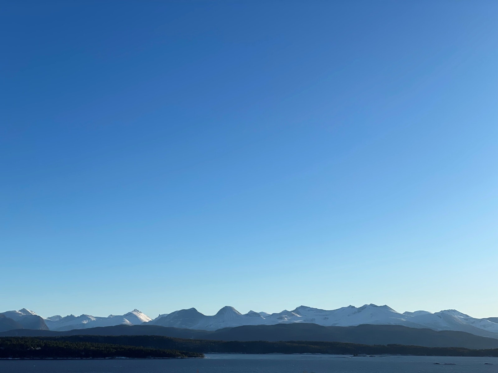 Selgers bilde Galleribilde