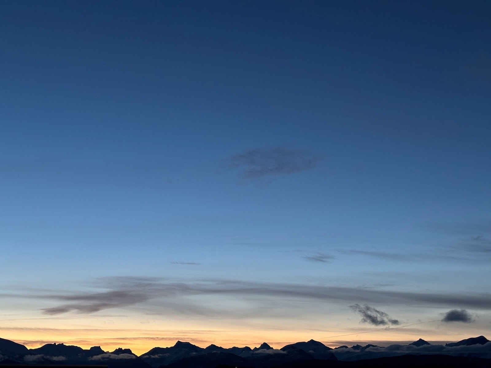 Selgers bilde Galleribilde