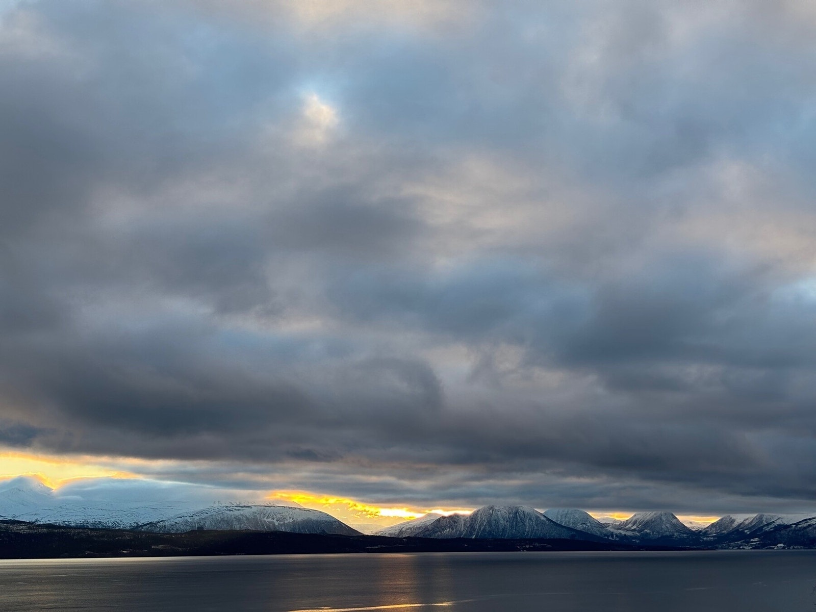 Selgers bilde Galleribilde