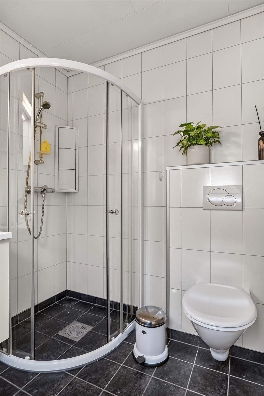 Alvanutlia-2 Galleribilde