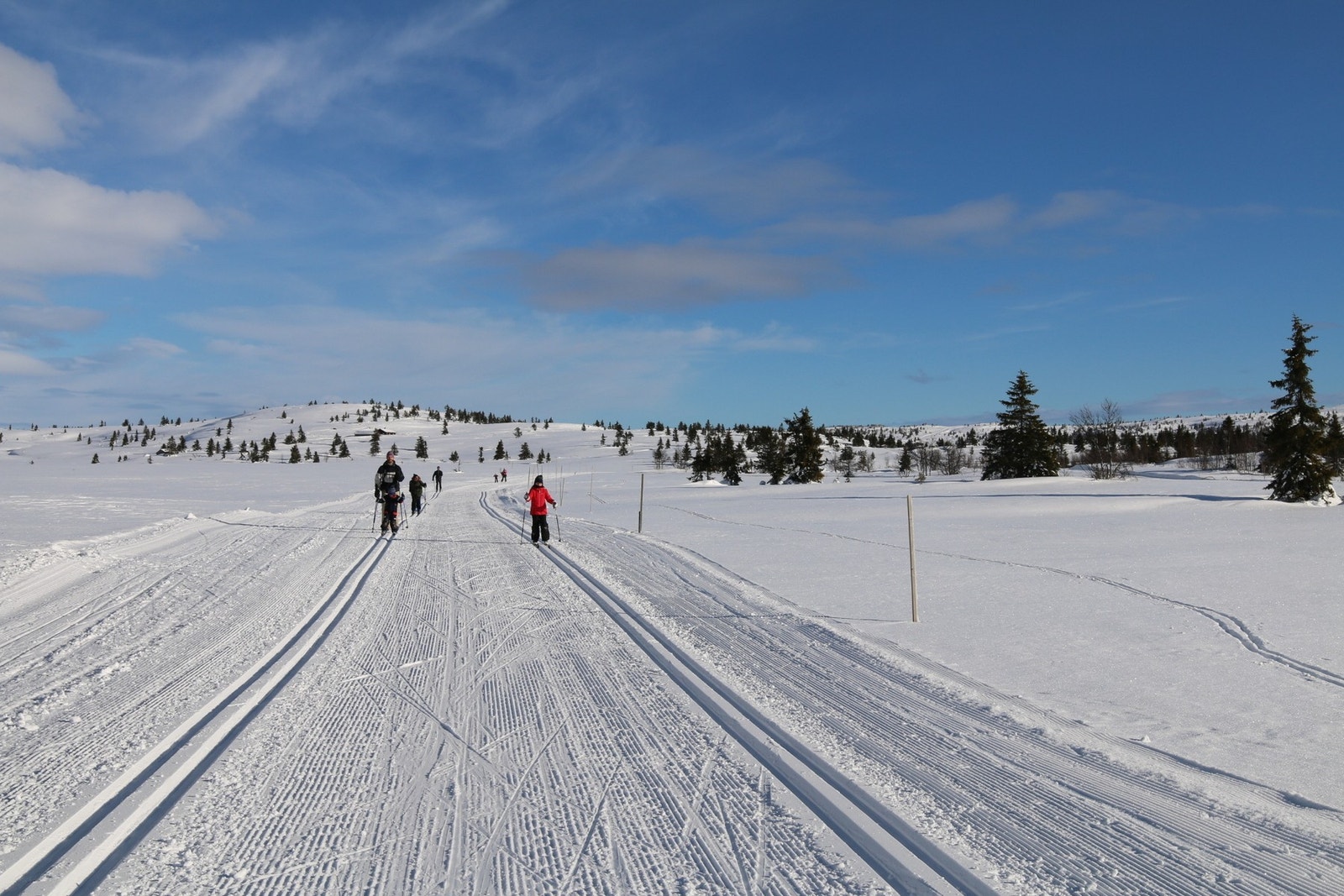 Langrennsløypene på Hafjell er fantastiskie og er koblet sammen med løypenettet mot Nordseter, Sjusjøen og Hornsjø Galleribilde