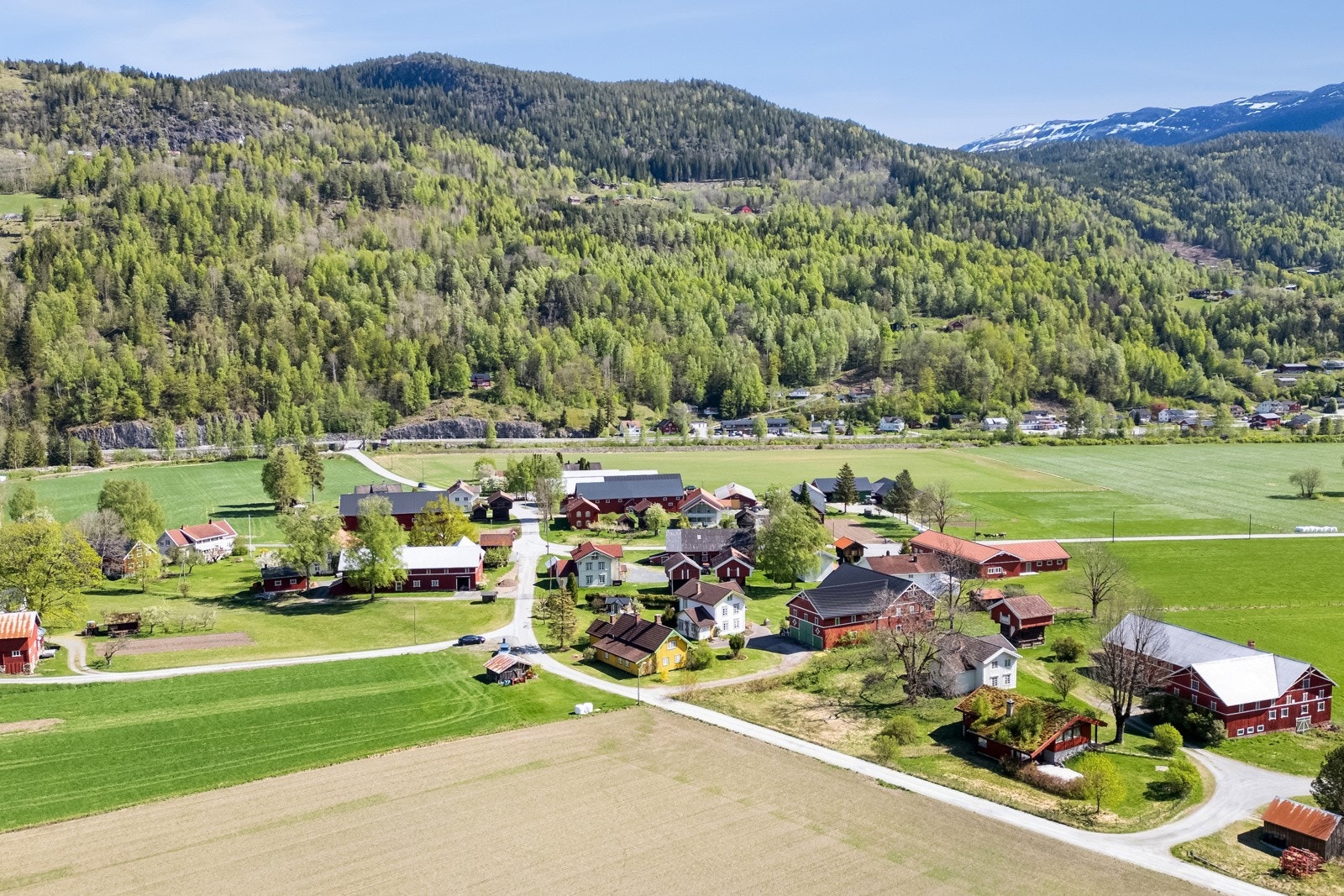 Tunet er ca. 8 km fra Seljord sentrum. Flatdal har har både skole, barnehage og dagligvarebutikk Galleribilde