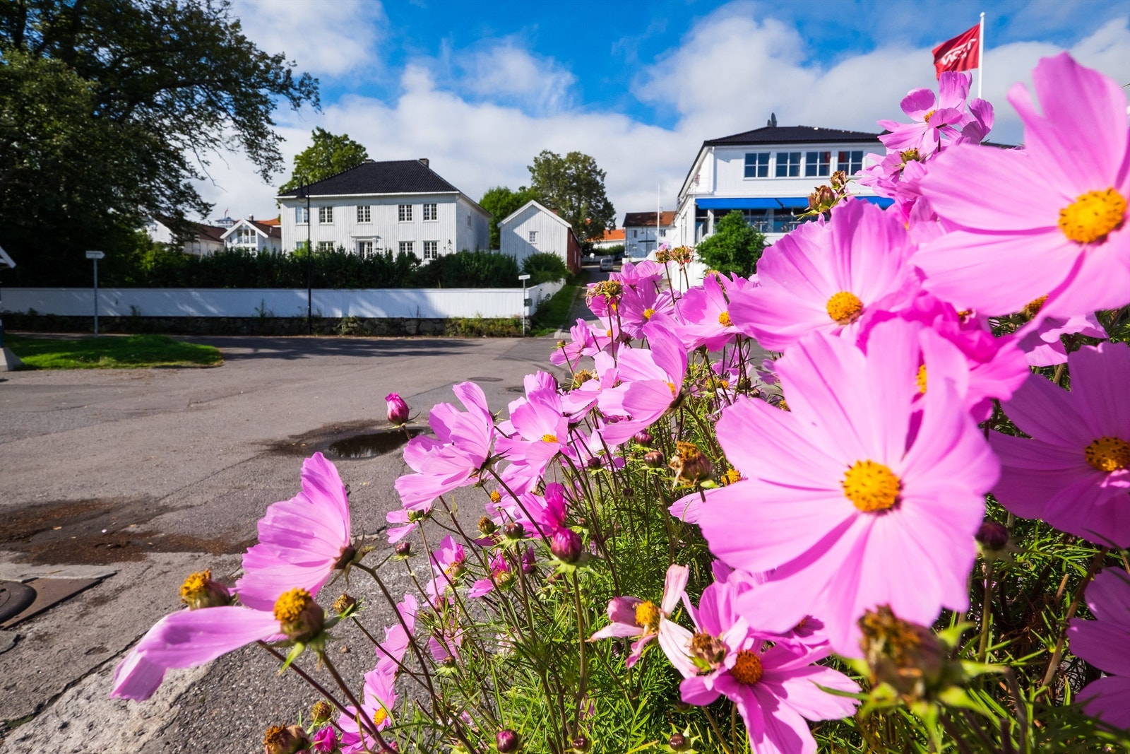 Åsgårdstrand Galleribilde