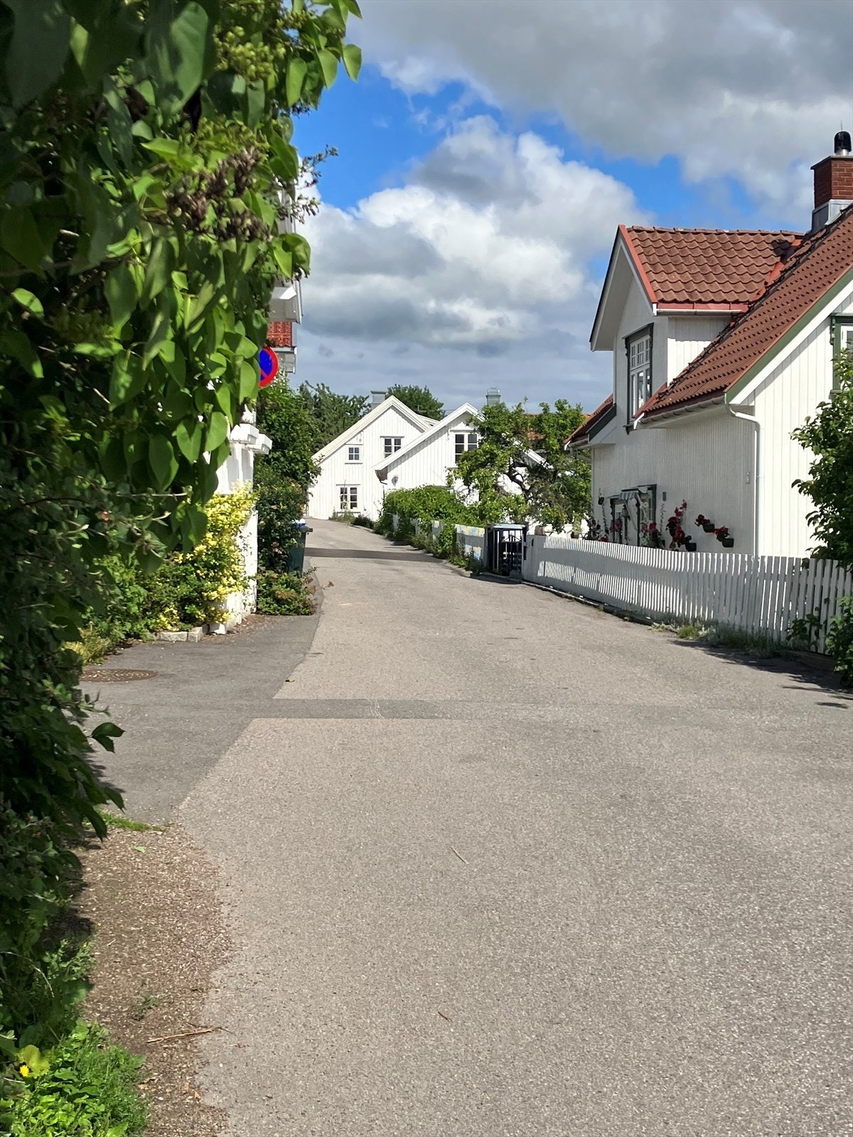 Privat bilde Galleribilde