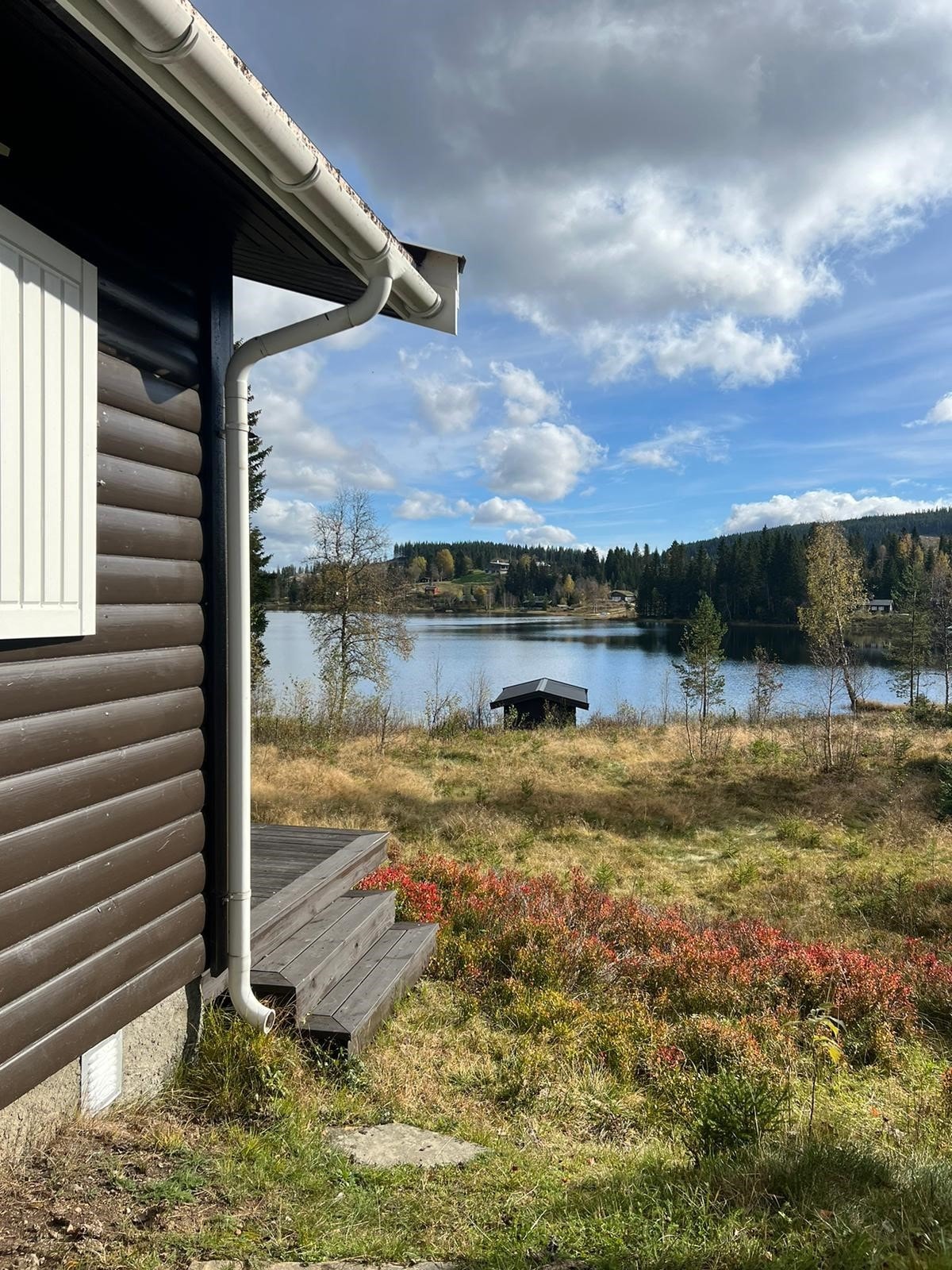 Sommerbilde fra selger Galleribilde