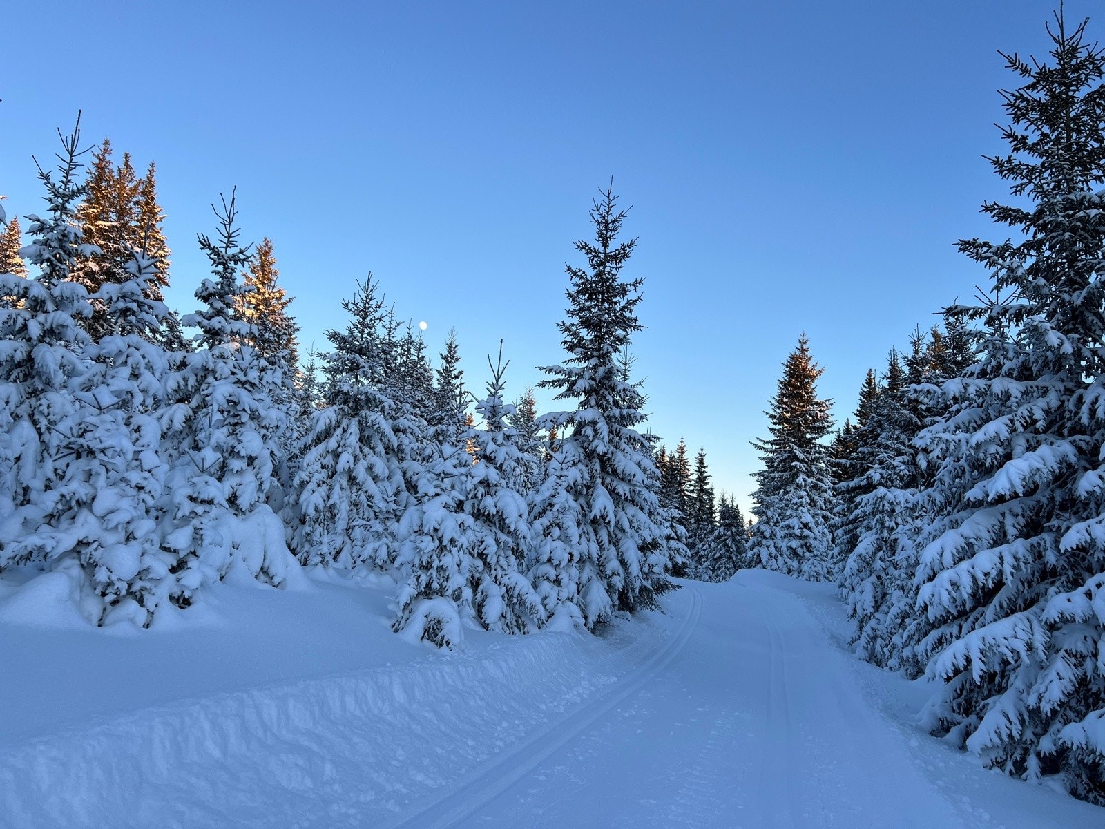 Vinterbilde fra selger Galleribilde