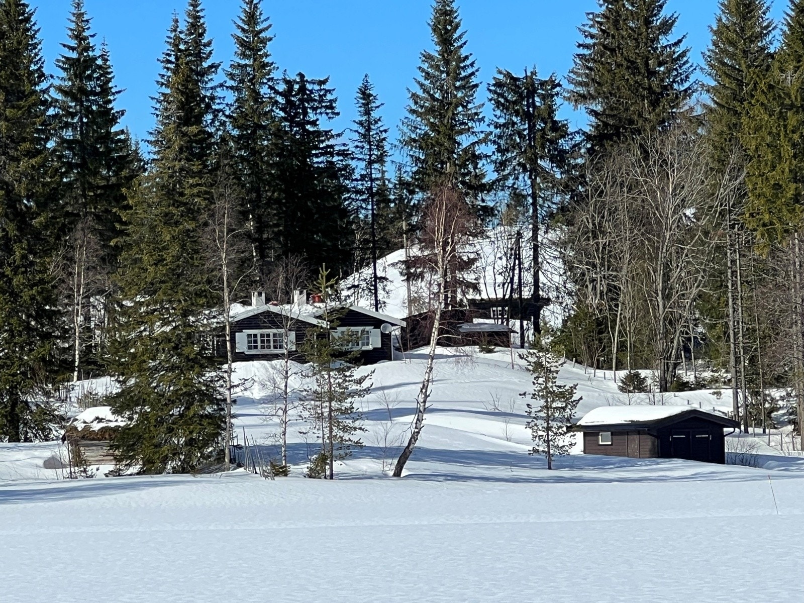 Vinterbilde fra selger Galleribilde