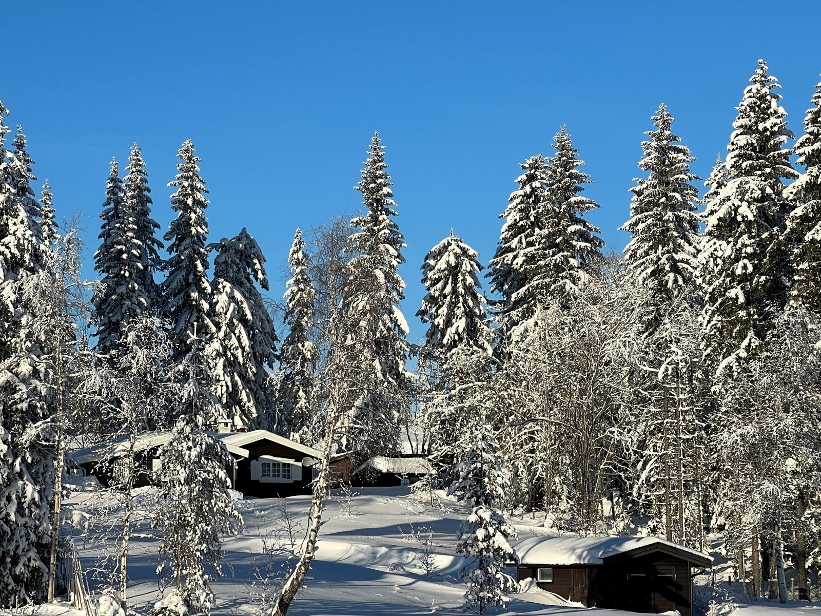 Vinterbilde fra selger Galleribilde