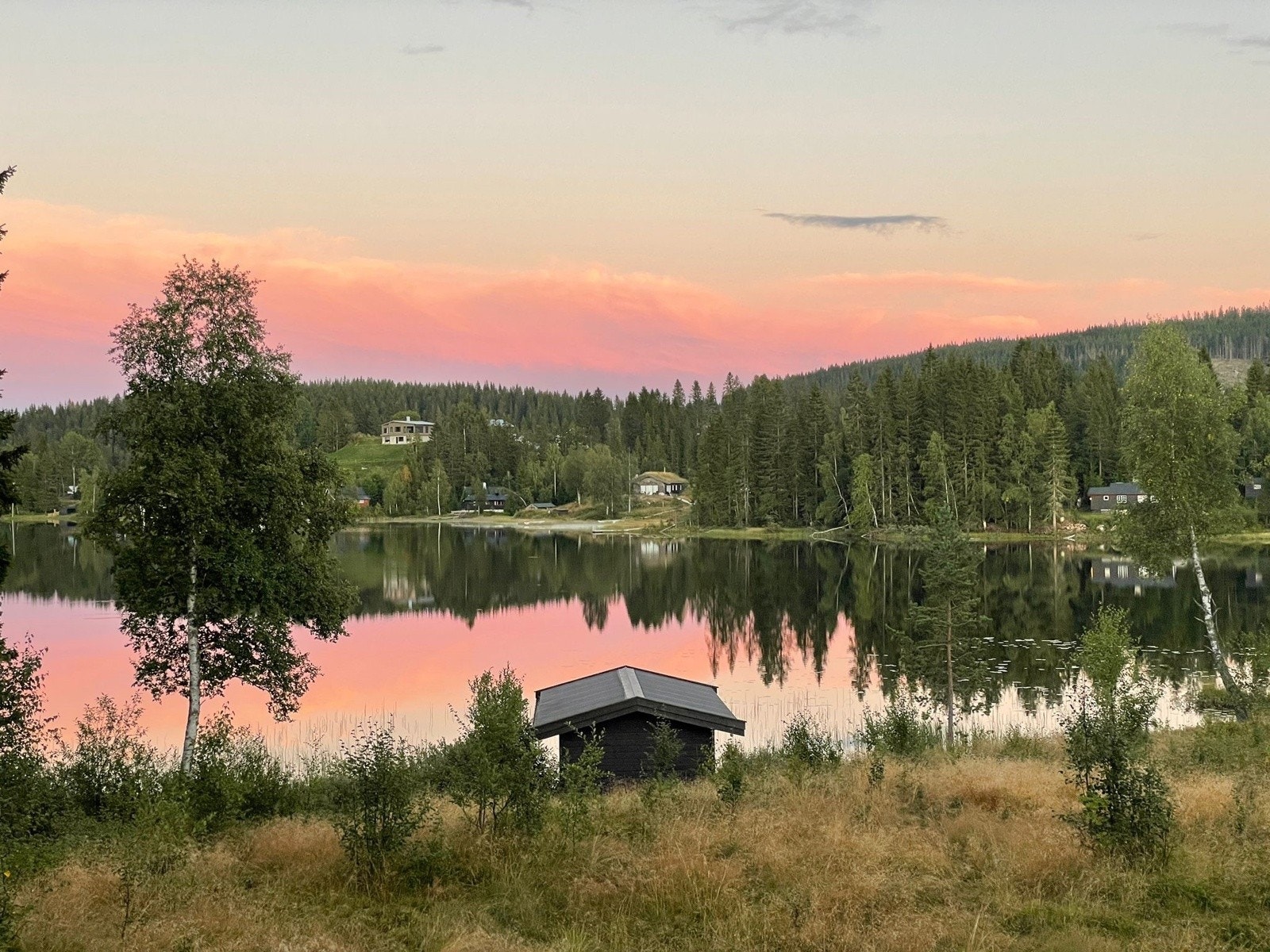 Sommerbilde fra selger Galleribilde