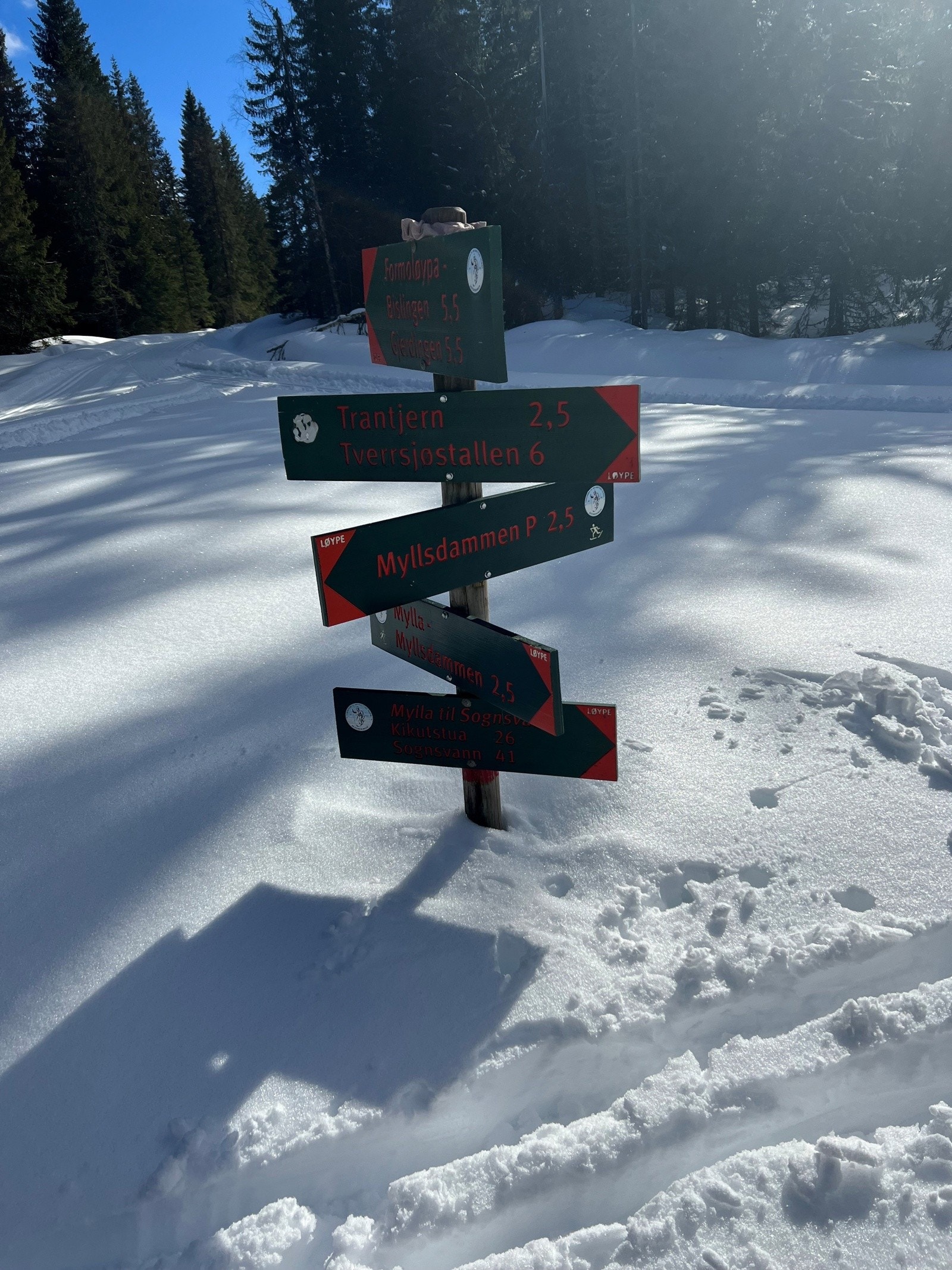 Vinterbilde fra selger Galleribilde