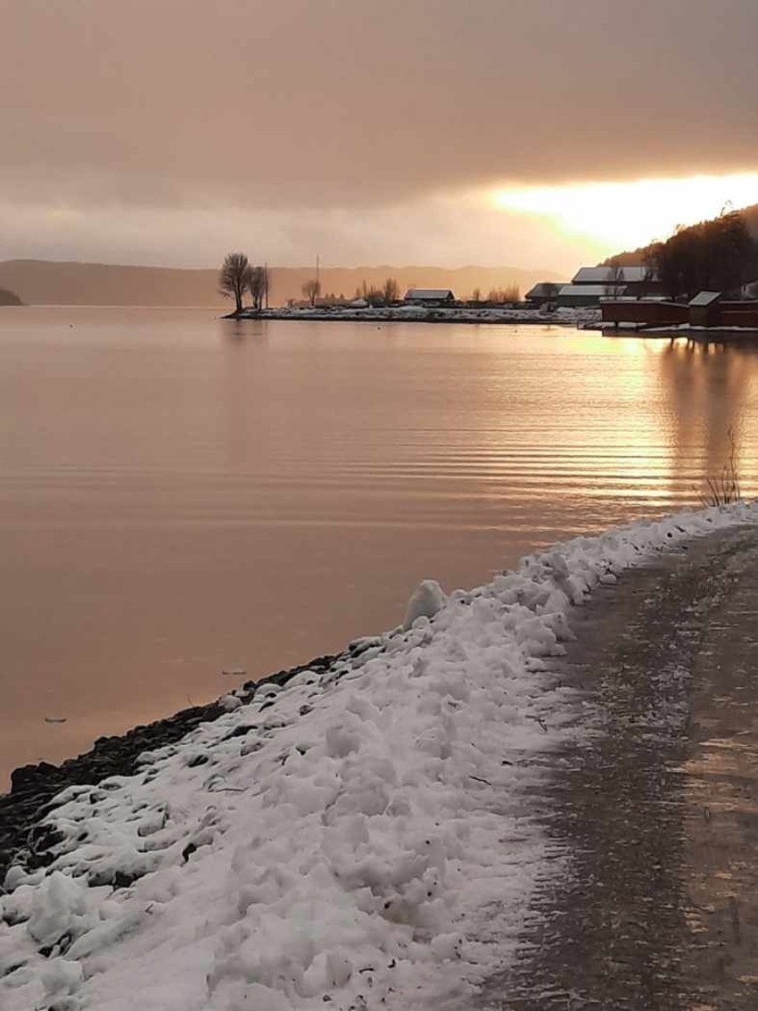 Bilde fra nærmiljøet, tatt av selger. Galleribilde
