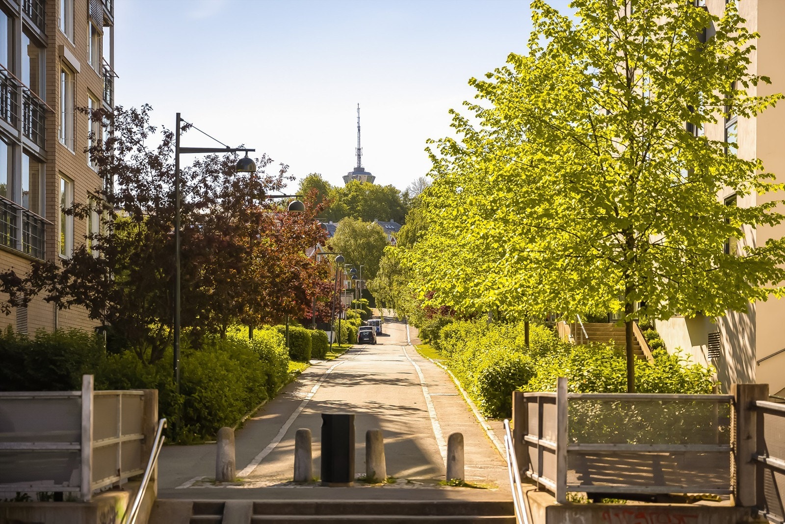 Rosenborg Park er et meget attraktiv boligområde rett ovenfor Møllenberg Galleribilde