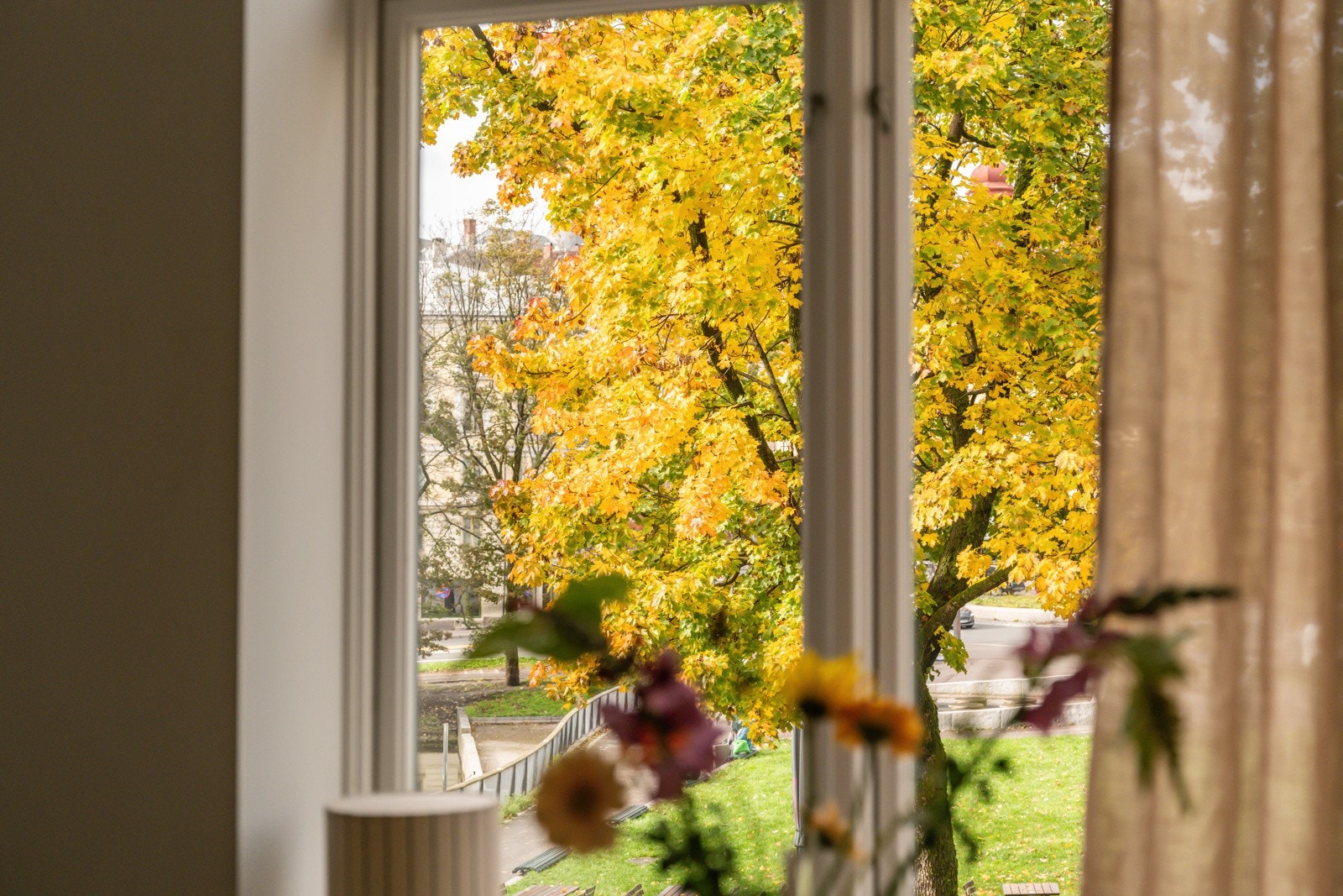 Store klassiske vinduer slipper inn rikelig med naturlig lys og det er hyggelig utsikt mot parken på Kiellands plass. Galleribilde