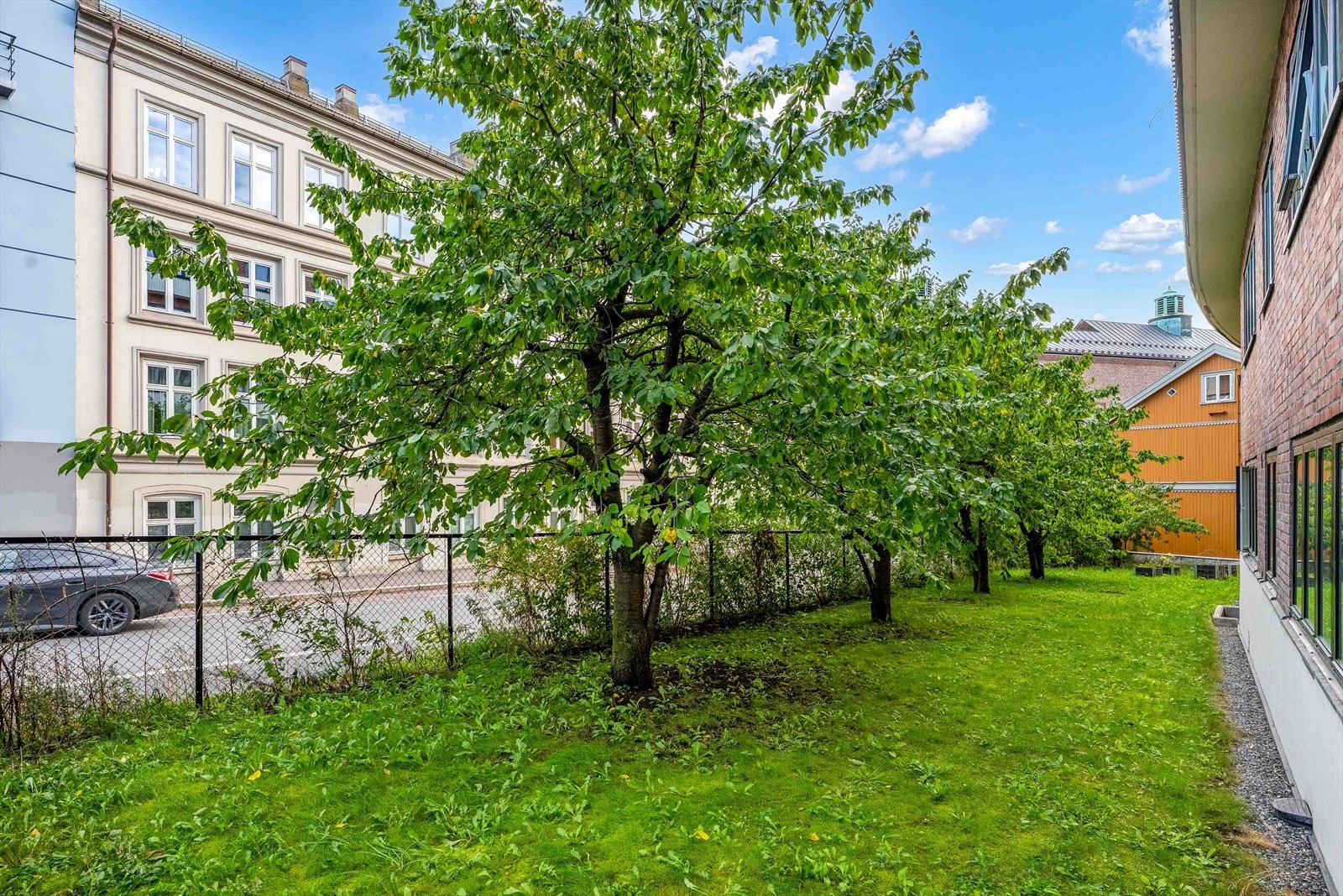 Sameiets morellhage sees fra stue og balkong. Galleribilde