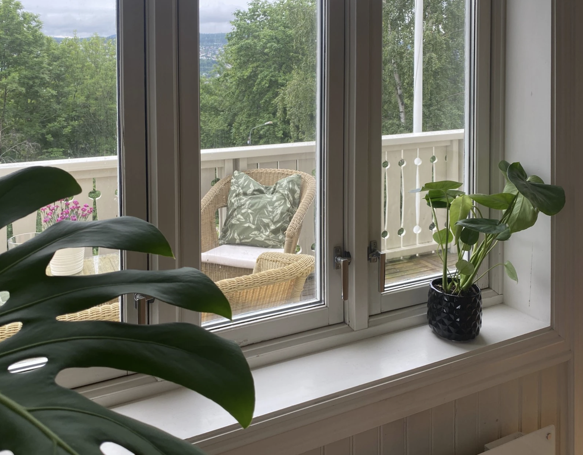 Stuevindu Galleribilde