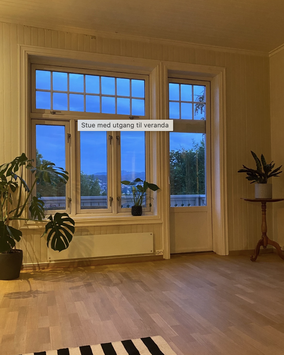 Stue med utgang til veranda Galleribilde