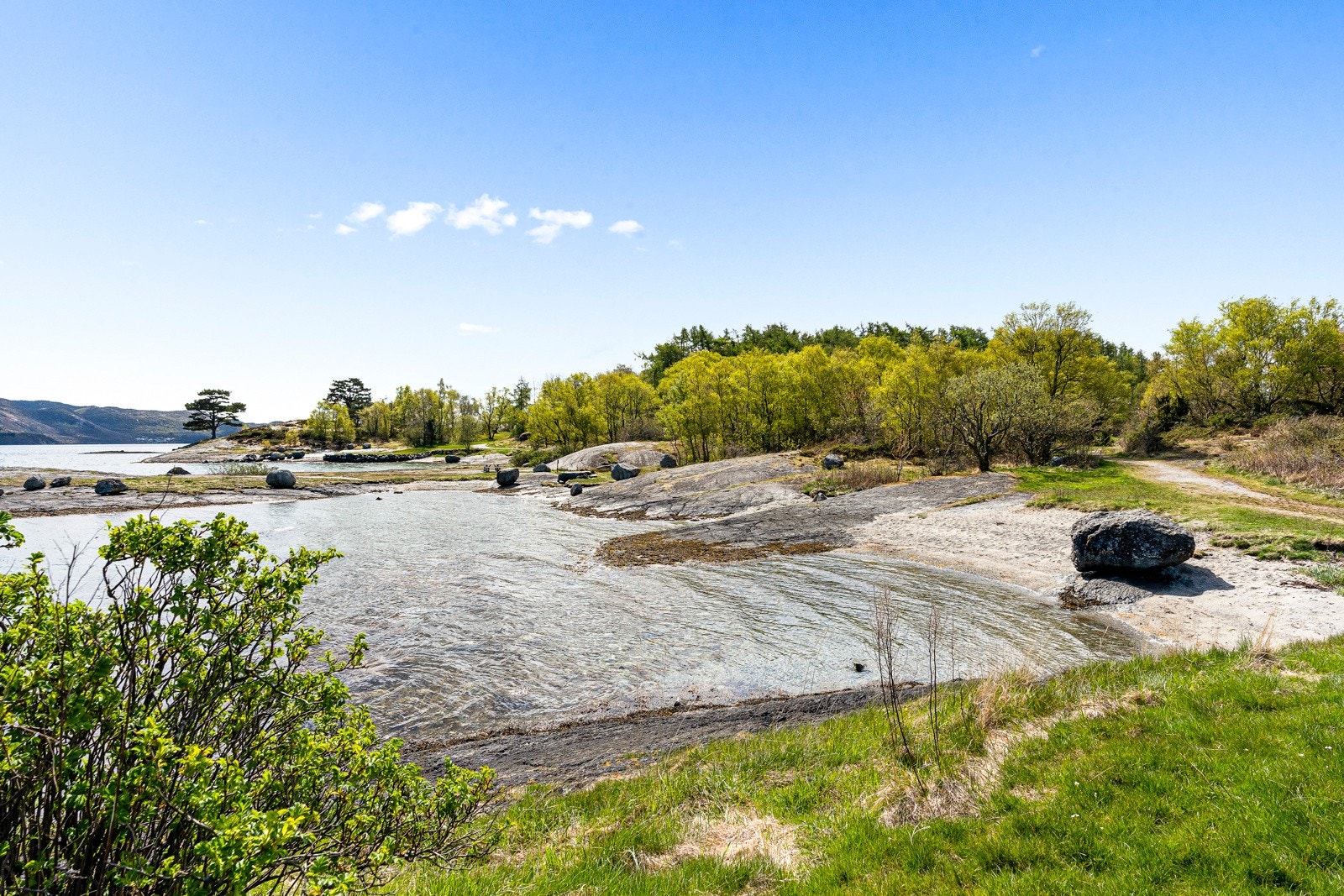 Nærområde. Galleribilde